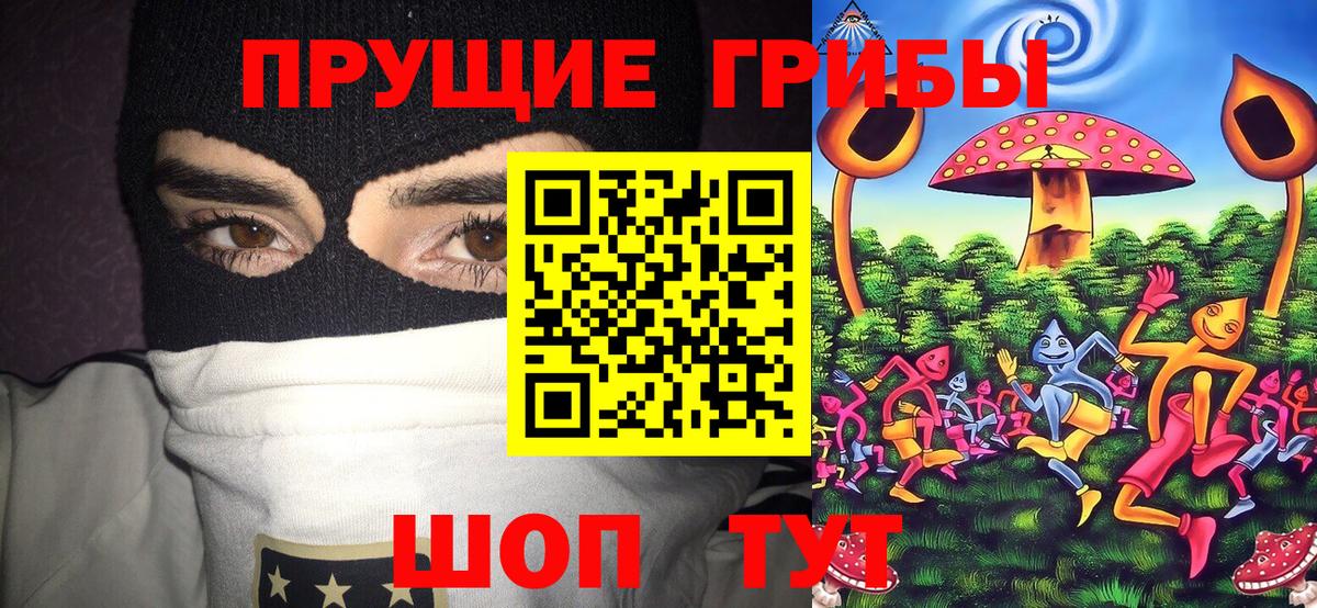 Галлюциногенные грибы Cubensis  Вход с VPN  Гурьевск  Галлюциногенные грибы Cubensis 